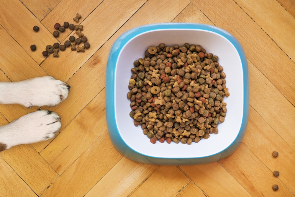 低温慢煮鲜食猫粮